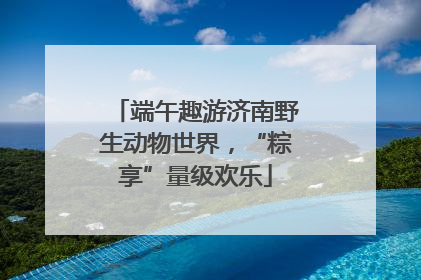 端午趣游济南野生动物世界，“粽享”量级欢乐